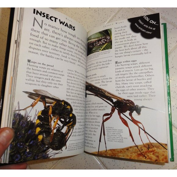 Vintage Secret Worlds Bugs A Close Up View of the Insect World Hardcover Book - Picture 6 of 16
